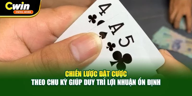 Chiến lược đặt cược theo chu kỳ giúp duy trì lợi nhuận ổn định