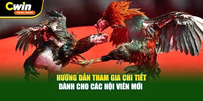 Hướng dẫn tham gia chi tiết dành cho các hội viên mới
