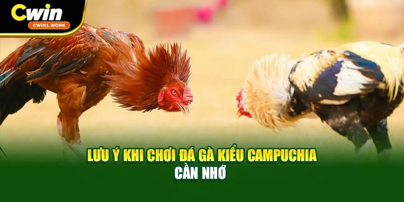 Lưu ý khi chơi đá gà kiểu Campuchia cần nhớ